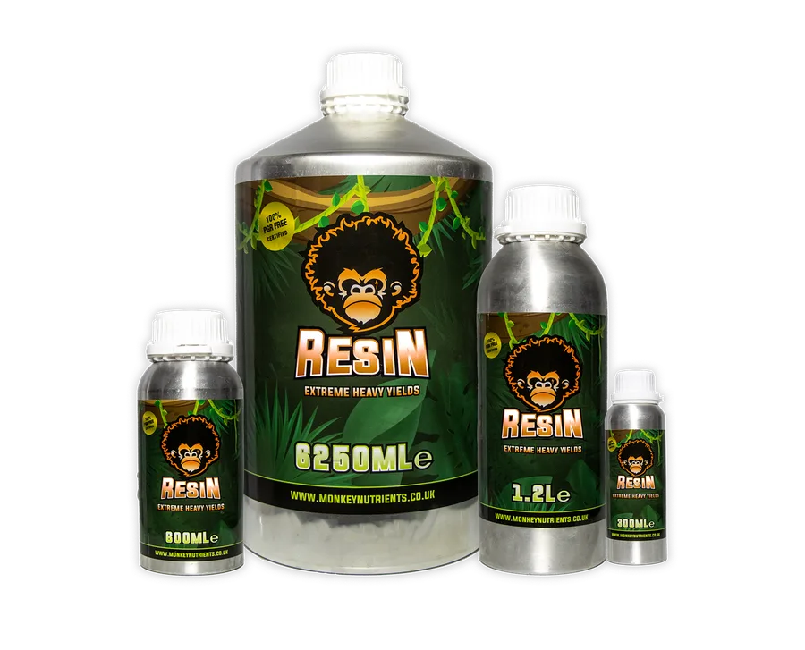 Resin